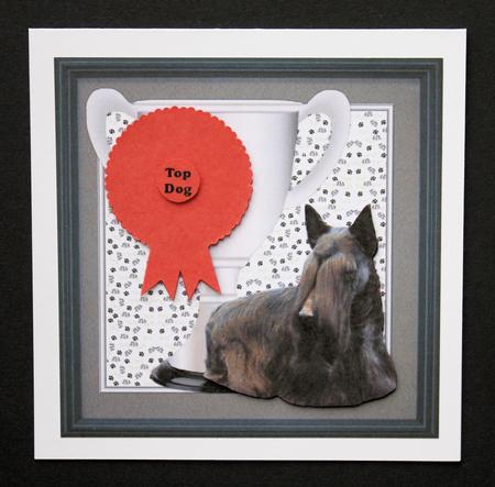 Scottish Terrier Trophy & Rosette 8x8 Card by Marion Kimberley-Scott