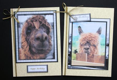 Alpacca Topper by Marion Kimberley-Scott