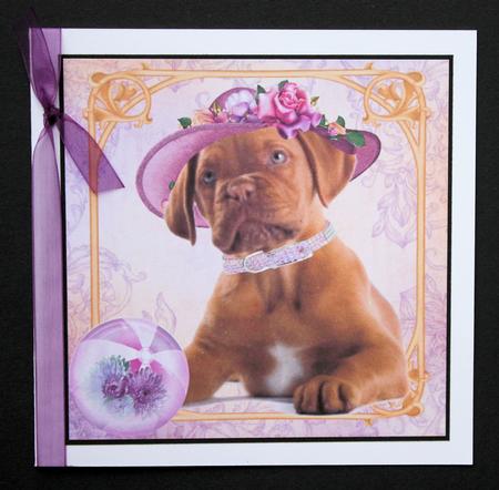 Loveable Pet Quick Topper with Insert by Marion Kimberley-Scott