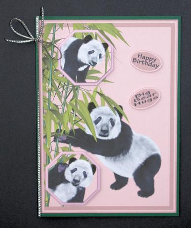 Multi Use Panda Card by Marion Kimberley-Scott