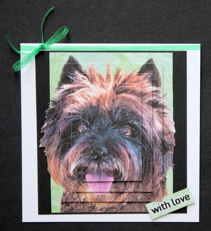 Painted Puppy Pyramage 3 by Marion Kimberley-Scott