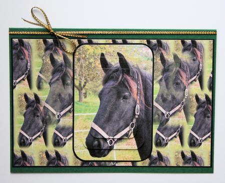 Beautiful Horses Bumper Kit by Marion Kimberley-Scott
