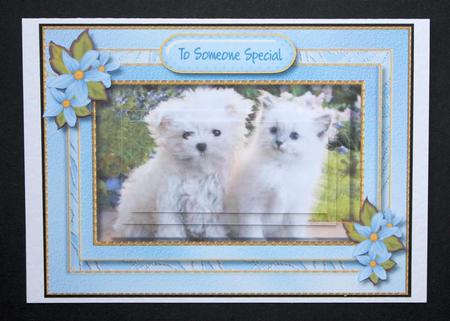 Gorgeous Friends Forever by Marion Kimberley-Scott