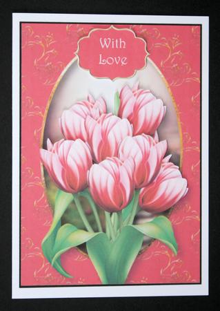 Striped Pink Tulips A5 by Marion Kimberley-Scott
