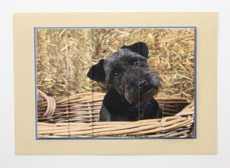 Black Dog in a Wicker Basket Side Stacker by Marion Kimberley-Scott