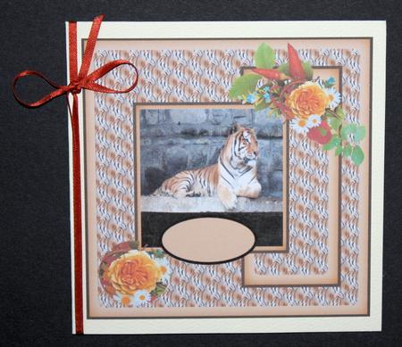 Tiger Time by Marion Kimberley-Scott