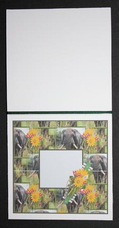Wild Thing Insert by Marion Kimberley-Scott