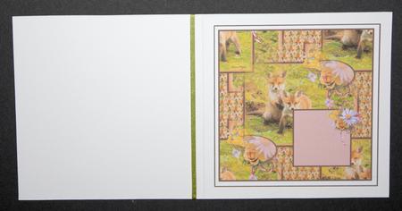 Fox Cubs at Play Insert by Marion Kimberley-Scott