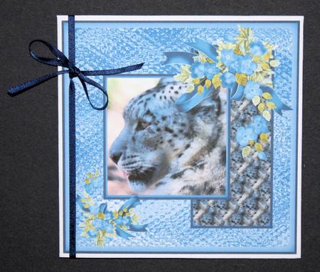 Ice Blue by Marion Kimberley-Scott