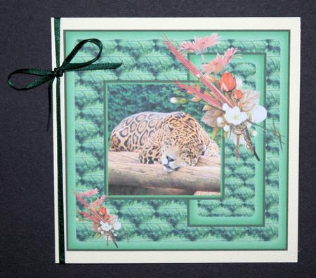 Leopard Beauty by Marion Kimberley-Scott