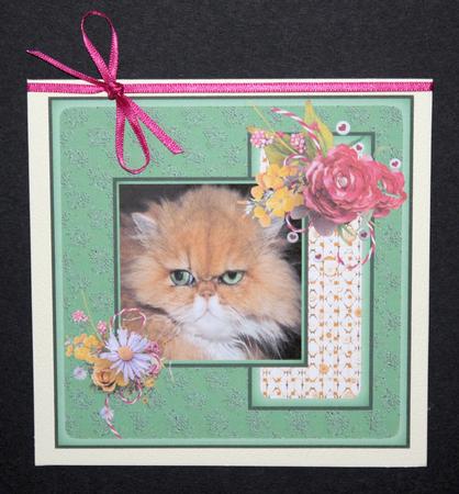 Mr Grumpy by Marion Kimberley-Scott
