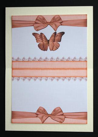 10 x Inserts Bumper Kit 1a by Marion Kimberley-Scott