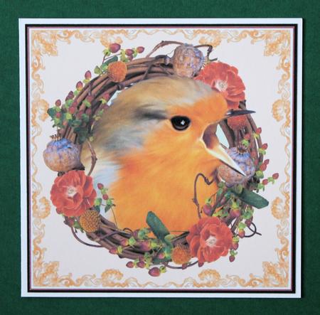 Robin Wreath by Marion Kimberley-Scott