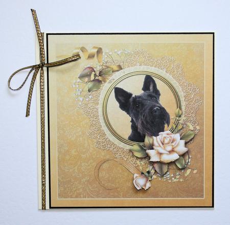 Scottish Terrier with Roses by Marion Kimberley-Scott