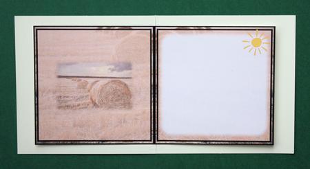 Haymaking Insert by Marion Kimberley-Scott