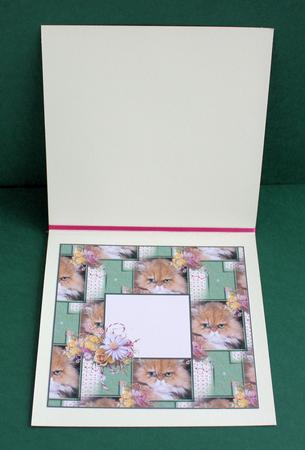 Mr Grumpy Insert by Marion Kimberley-Scott