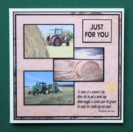 Haymaking by Marion Kimberley-Scott