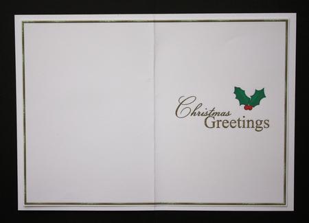 Christmas Greetings Card Insert 1 by Marion Kimberley-Scott