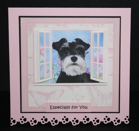 Schnauzer in the Window by Marion Kimberley-Scott