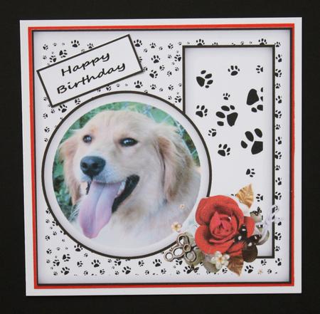 Just Dogs by Marion Kimberley-Scott