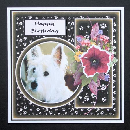 More Dogs by Marion Kimberley-Scott