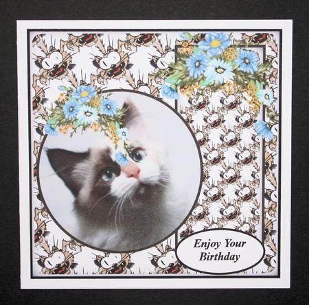 Its a Cats Life by Marion Kimberley-Scott