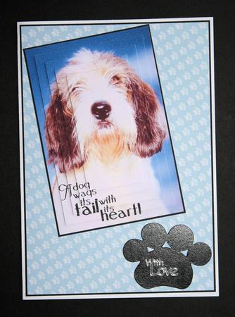 A Dog Wags It's Tail with It's Heart! by Marion Kimberley-Scott