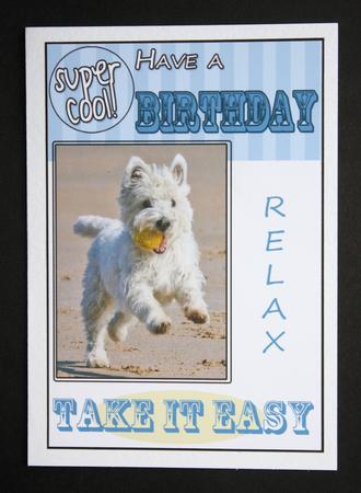 West Highland Terrier Birthday Card by Marion Kimberley-Scott