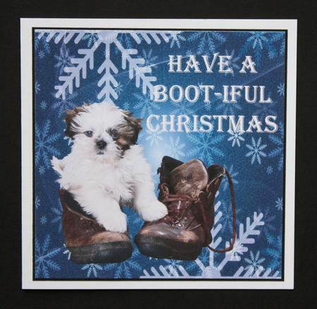 Have a Boot-iful Christmas by Marion Kimberley-Scott