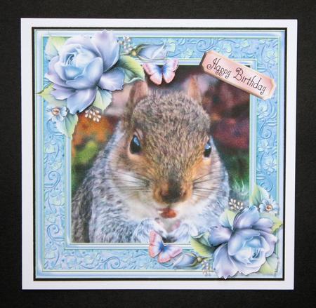 Gorgeous Munching Squirrel 8x8 by Marion Kimberley-Scott
