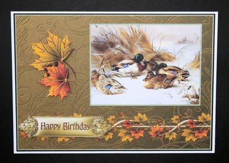 A5 Birthday Cardfront by Marion Kimberley-Scott