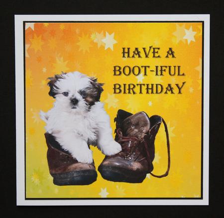 Have a Boot-iful Birthday (1) by Marion Kimberley-Scott