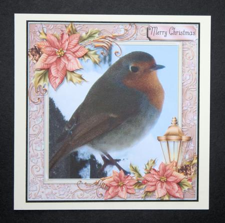 Beautiful Robin 8x8 by Marion Kimberley-Scott