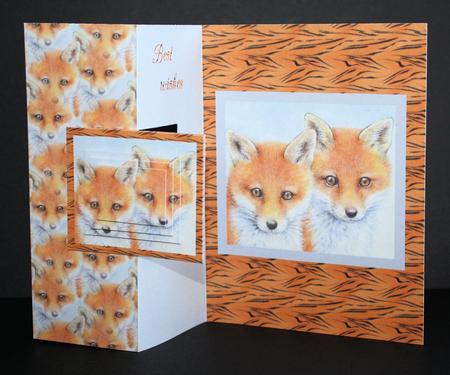Two Fox Cubs by Marion Kimberley-Scott