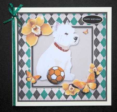 White Puppy and Butterflies by Marion Kimberley-Scott