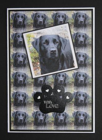 Black Labrador Portrait Pyramid with Background by Marion Kimberley-Scott