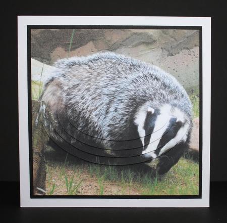 Because We Love Furries - Badger 3 + Insert & Tag by Marion Kimberley-Scott