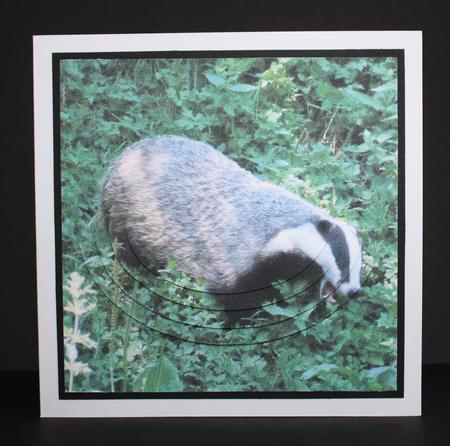 Because We Love Furries - Badger 2 + Insert & Tag by Marion Kimberley-Scott