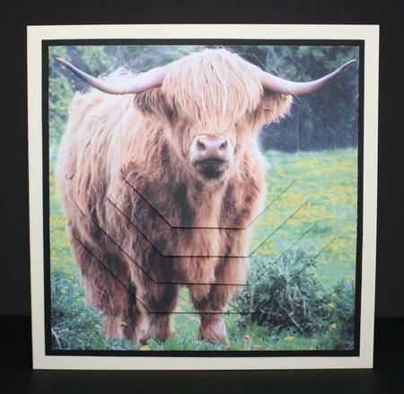 Because We Love Furries - Highland Cattle Breed +insert+tag by Marion Kimberley-Scott