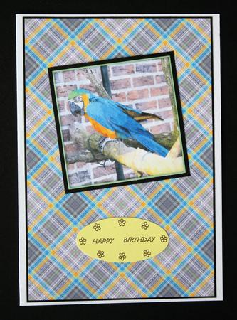 Plaid - Matching Macaw Parrot Watercolour Pyramid Topper by Marion Kimberley-Scott