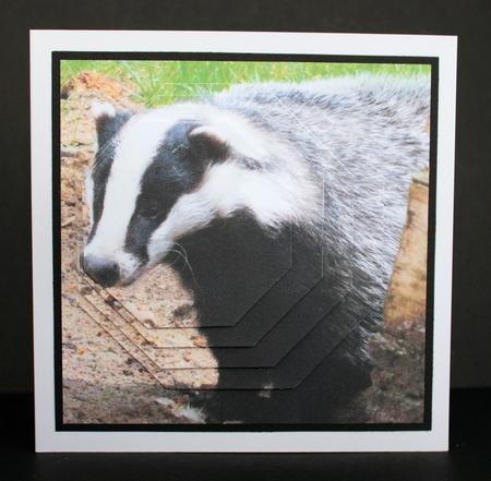 Because We Love Furries - Badger Offset Pyramid +insert+tag by Marion Kimberley-Scott
