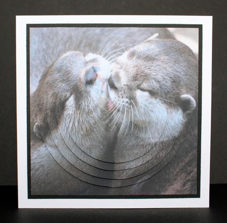 Because We Love Furries - Otter Kisses + Insert & Tag by Marion Kimberley-Scott