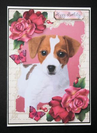 Gorgeous Jack Russel with Hot Pink Roses by Marion Kimberley-Scott