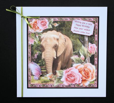 All Things Great and Small by Marion Kimberley-Scott