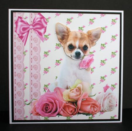Cute Little Chichuaha Among the Roses with Bow 8x8 by Marion Kimberley-Scott