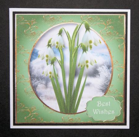 The Snowdrops 8x8 Quick Topper by Marion Kimberley-Scott