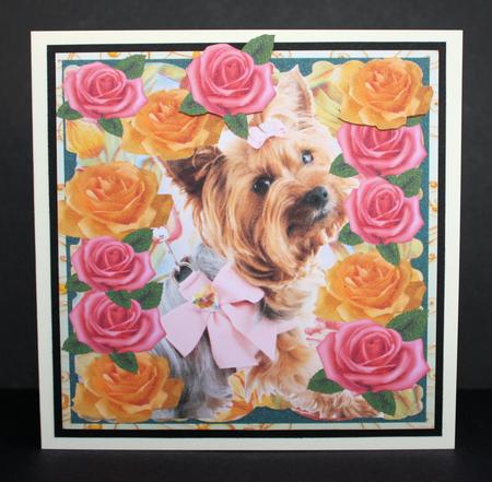 Doggie in the Window by Marion Kimberley-Scott