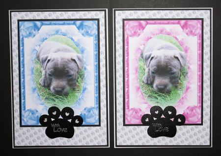 Staffie Puppy Topper by Marion Kimberley-Scott