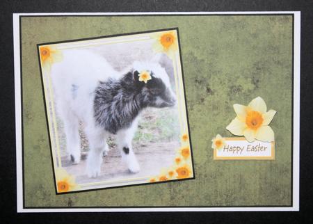 Happy Easter Goat by Marion Kimberley-Scott