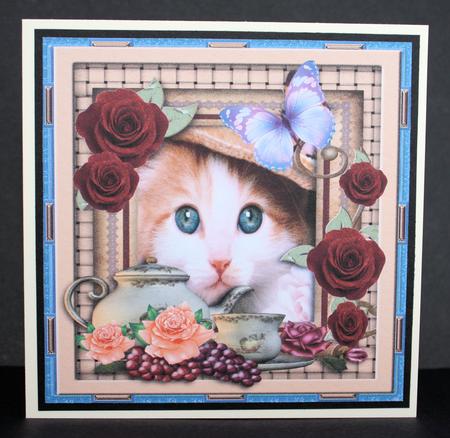 Kitty Cat Love by Marion Kimberley-Scott